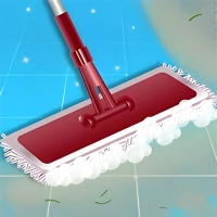 Clean House 3D