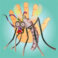 Mosquito Dash