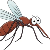 Mosquito Madness